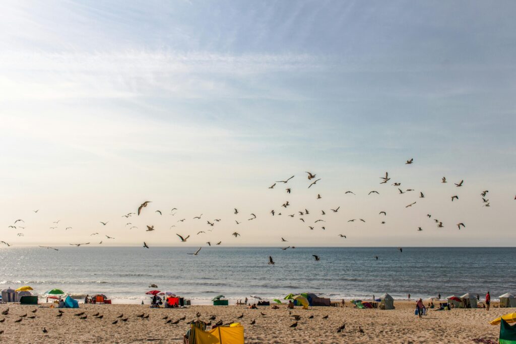 Best Beach Vacations in the USA